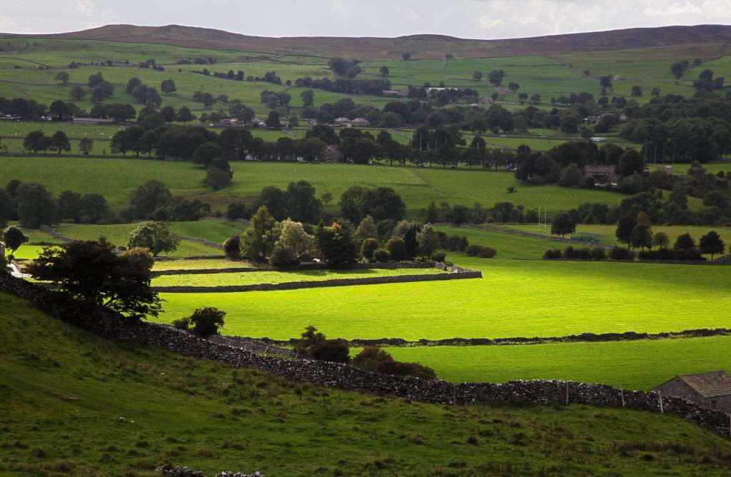 Countryside Scene Floodmatik